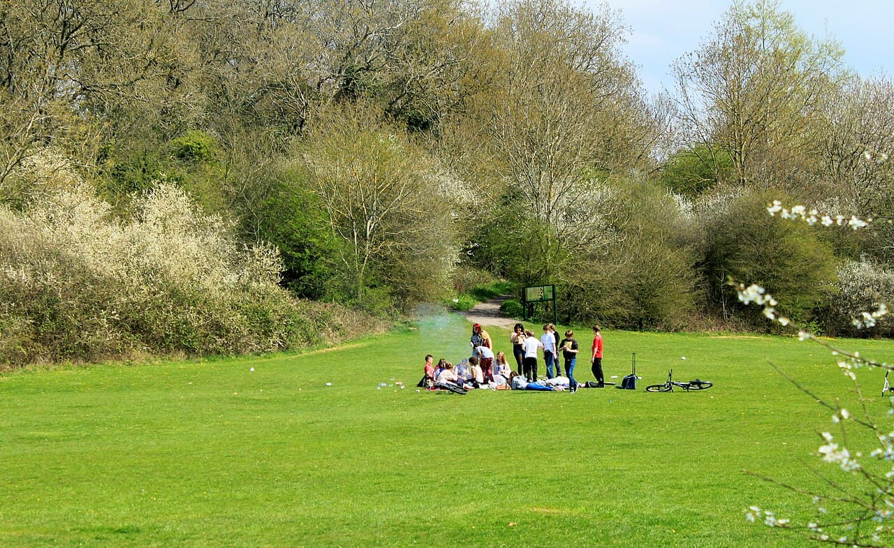 Wapley Bushes - Main view