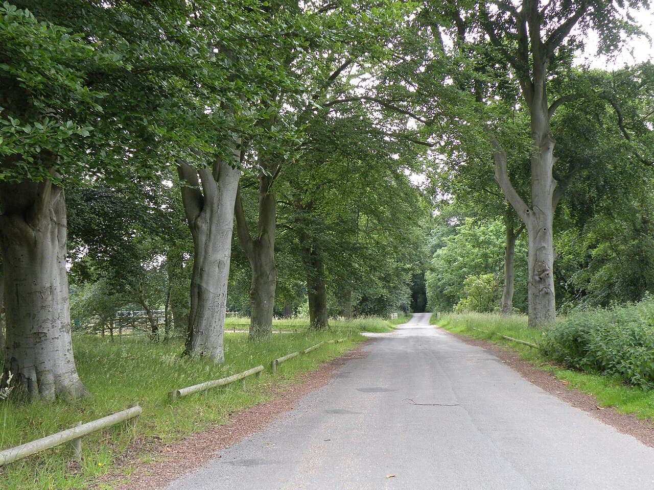 Knettishall Heath Nature Reserve - Main view