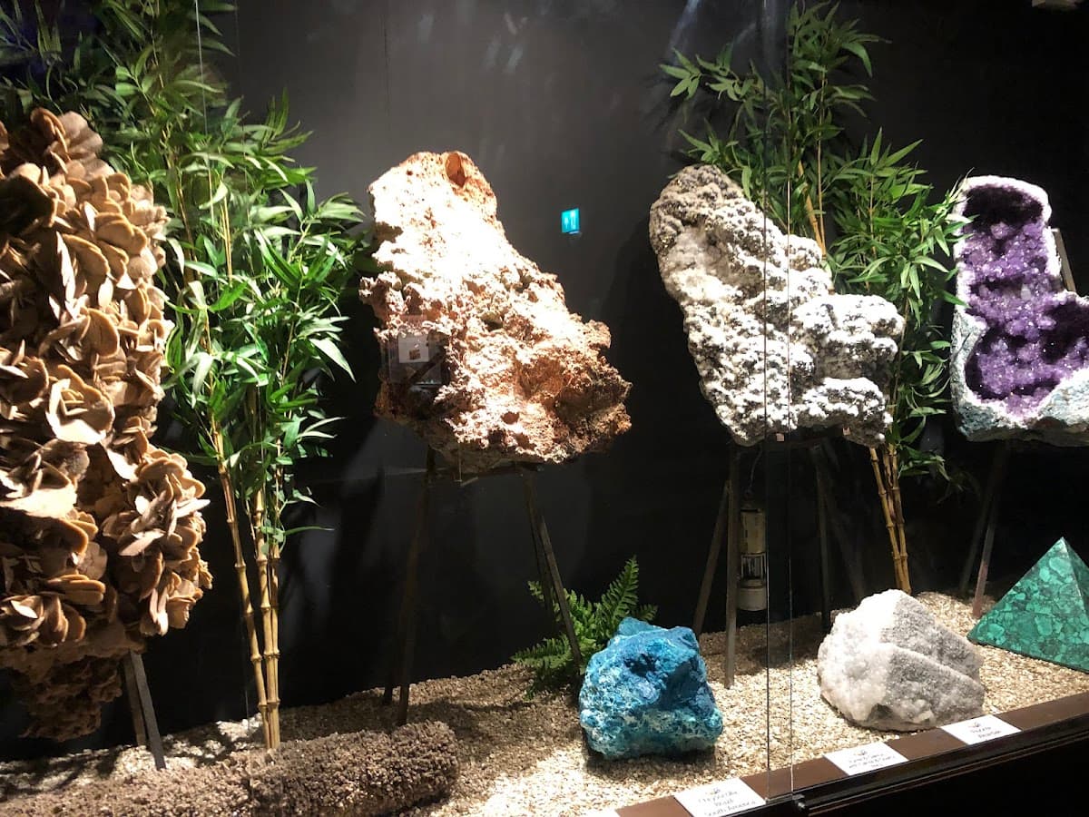Treasures of the Earth - Image 3