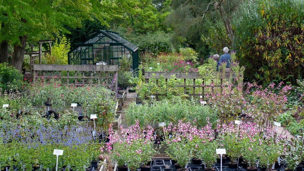 Great Comp Garden - Main view