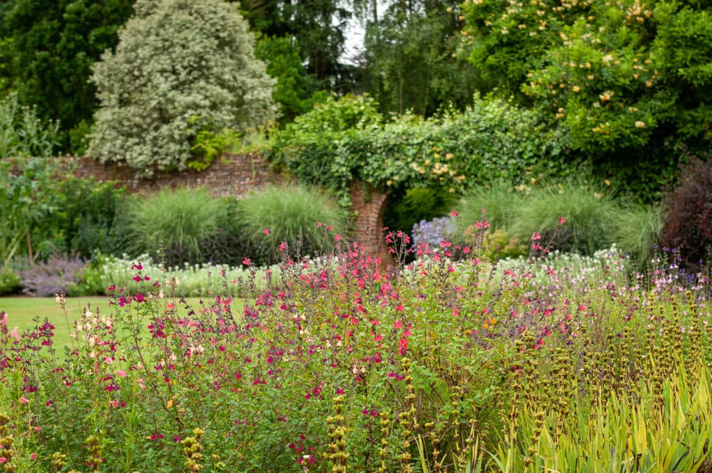 Great Comp Garden - Image 2