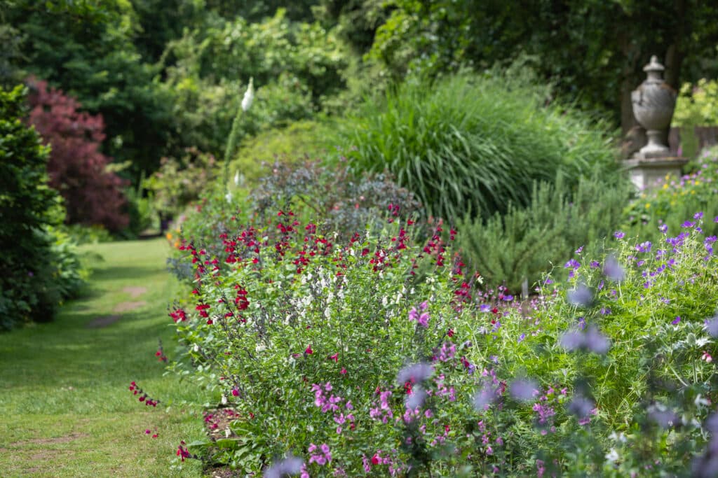 Great Comp Garden - Image 4
