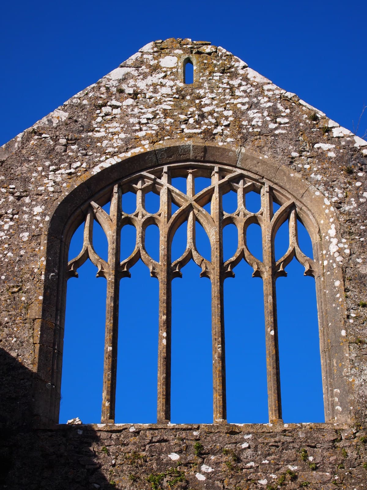 Lamphey Bishops Palace - Image 2