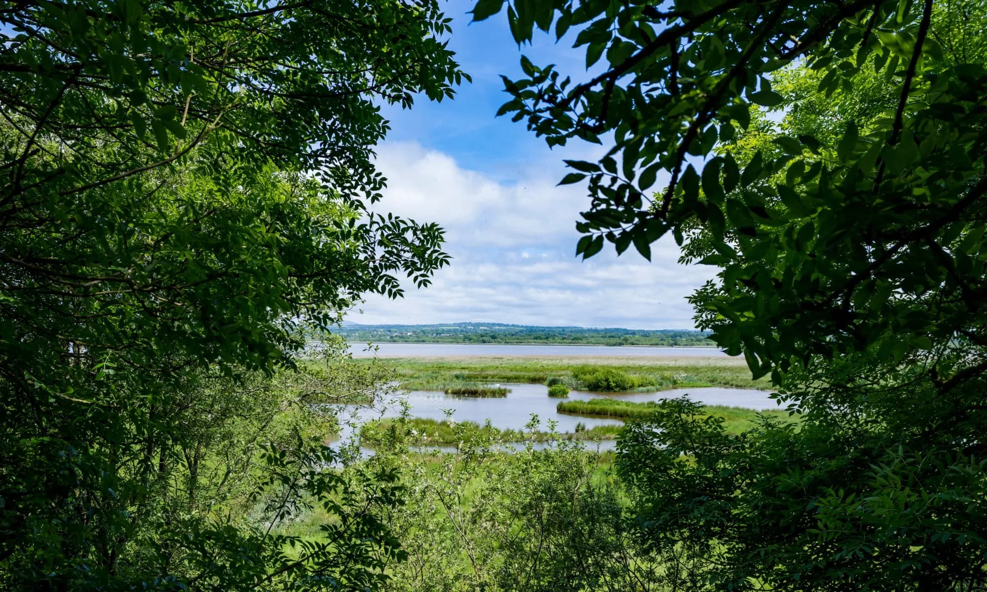 RSPB Portmore Lough Belfast - Image 3