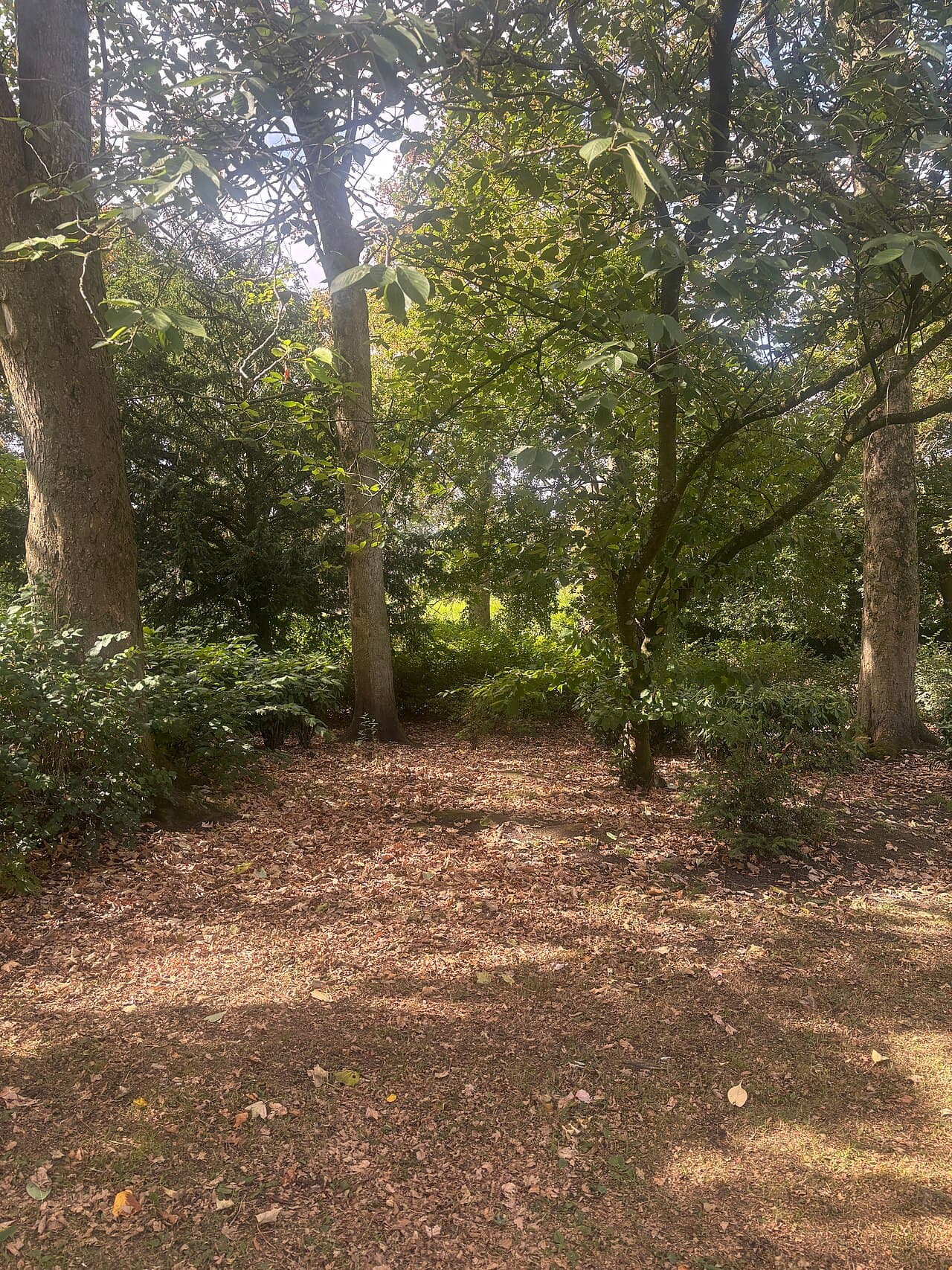 Victoria Park - Main view