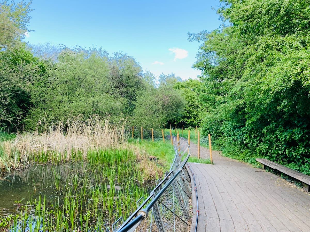 Gillespie Park - Main view