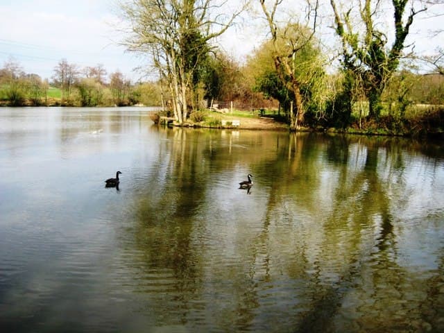 Bedelands Nature Reserve - Main view