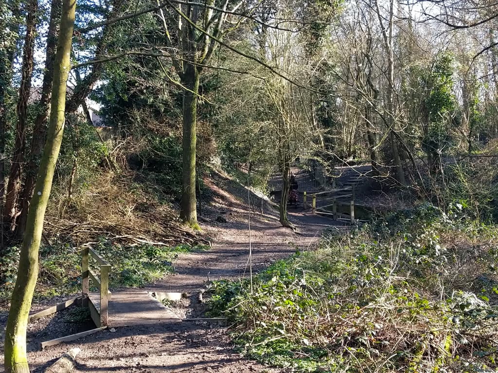 Bedelands Nature Reserve - Image 2