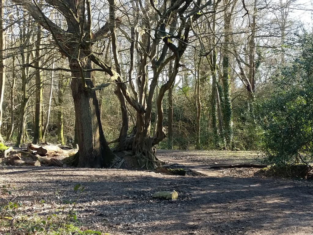 Bedelands Nature Reserve - Image 3