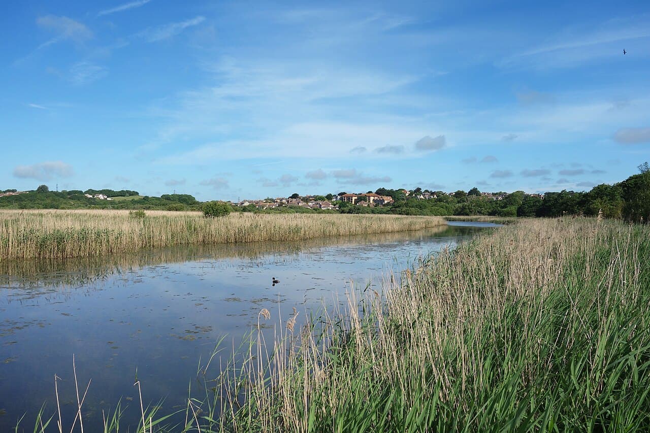 RSPB Radipole Lake - Image 1