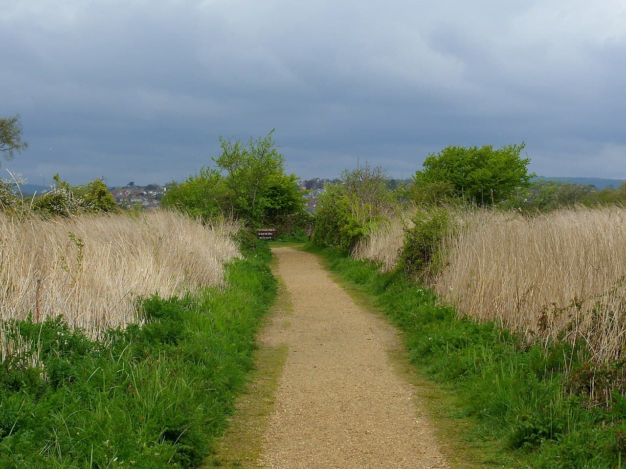 RSPB Radipole Lake - Image 2