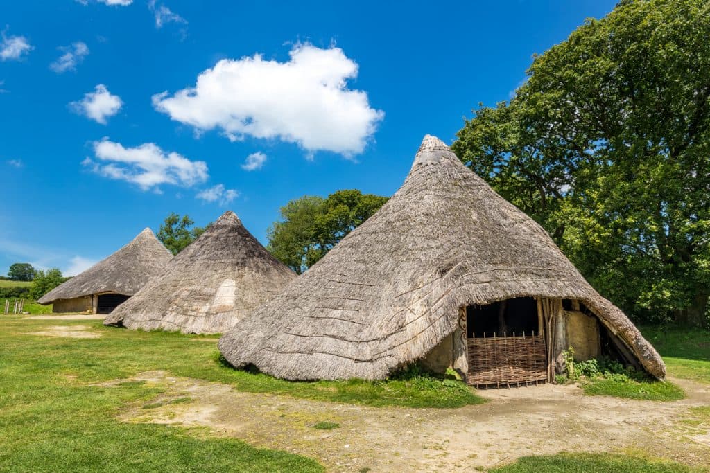Castell Henllys Iron Age Village - Main view