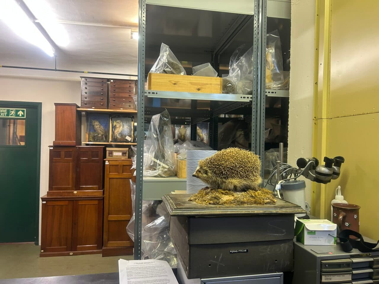 North Hertfordshire Museum - Image 2
