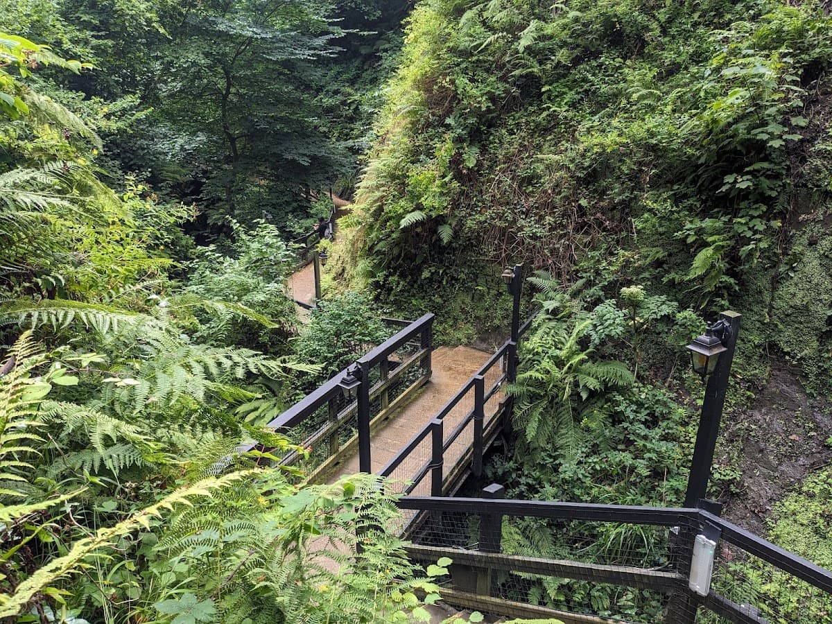 Shanklin Chine - Main view