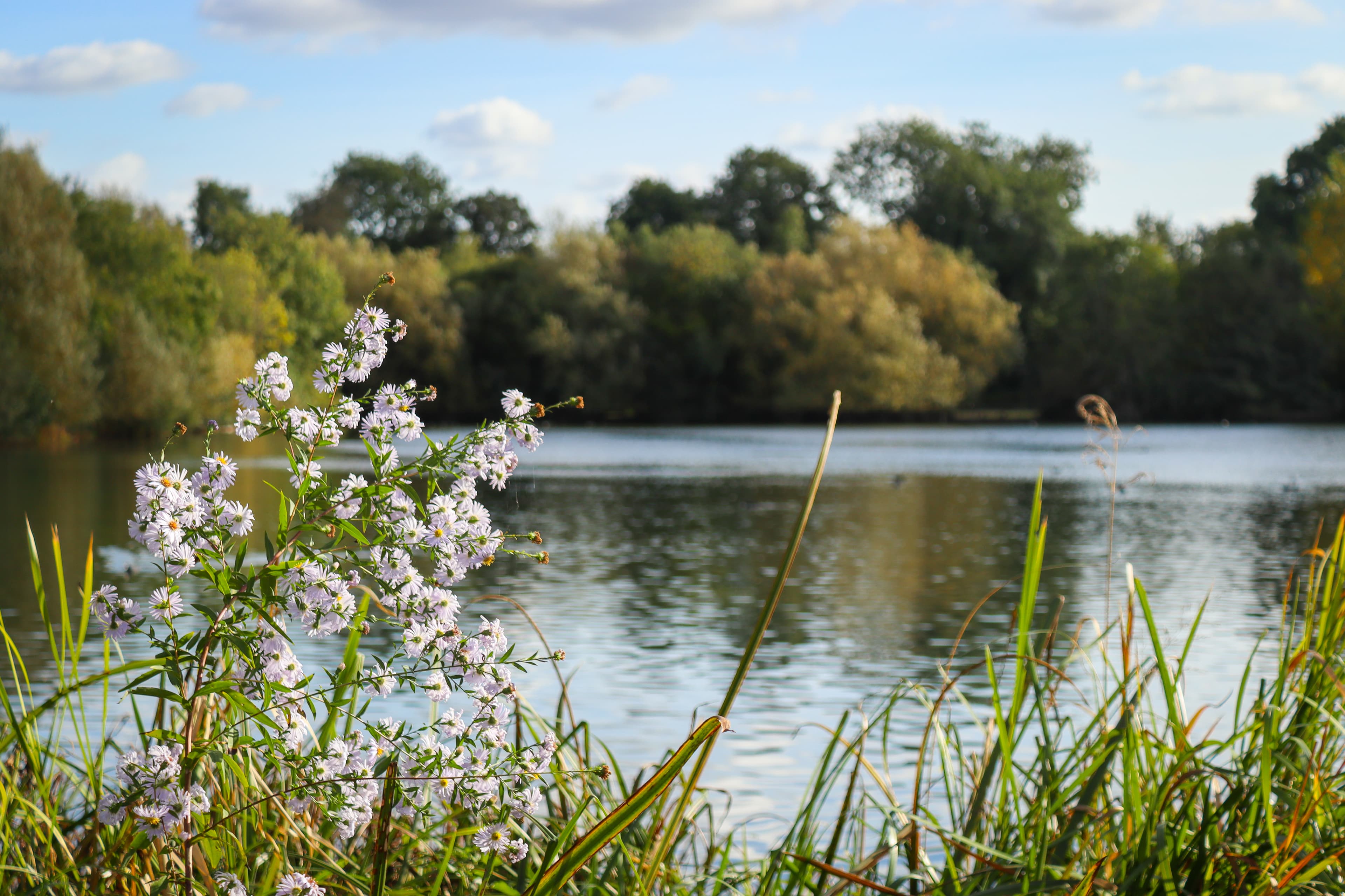 Rickmansworth Aquadrome - Image 1