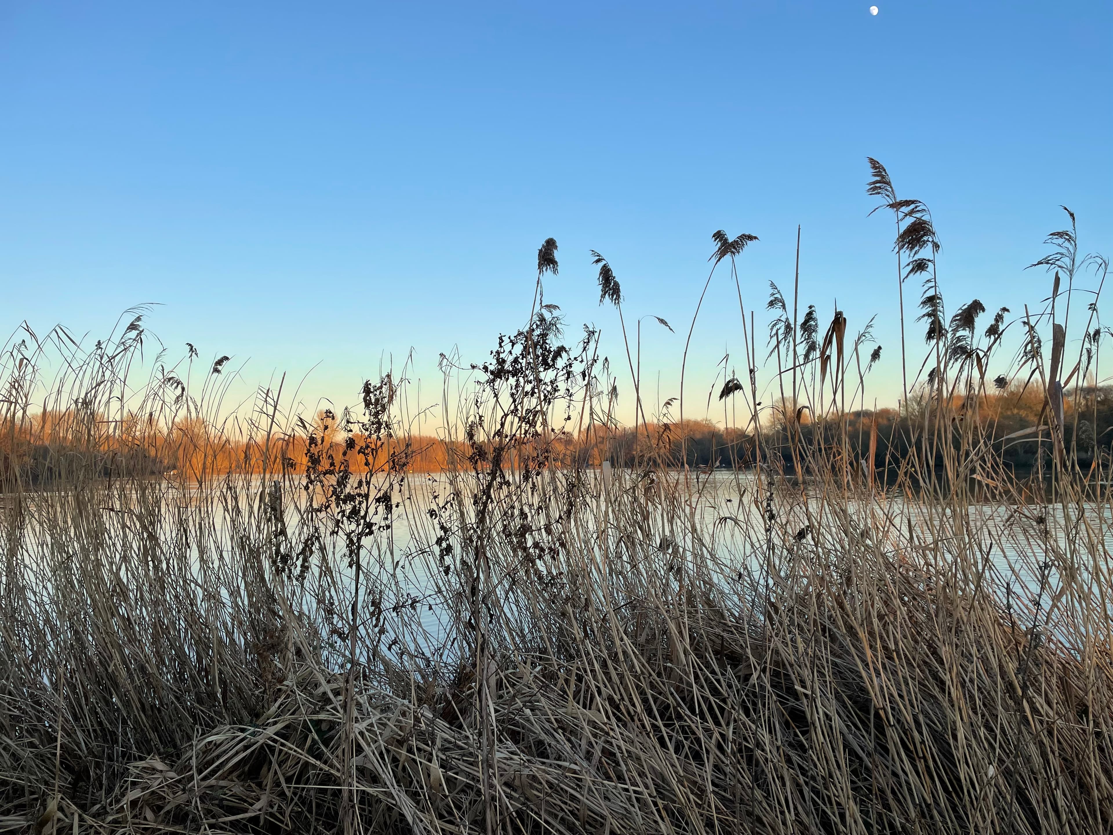 Rickmansworth Aquadrome - Image 2