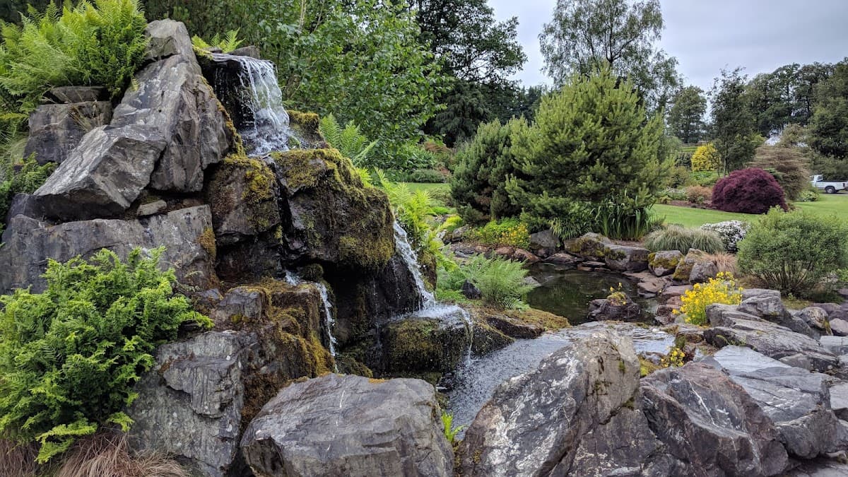 Threave Garden & Nature Reserve (National Trust for Scotland) - Image 5