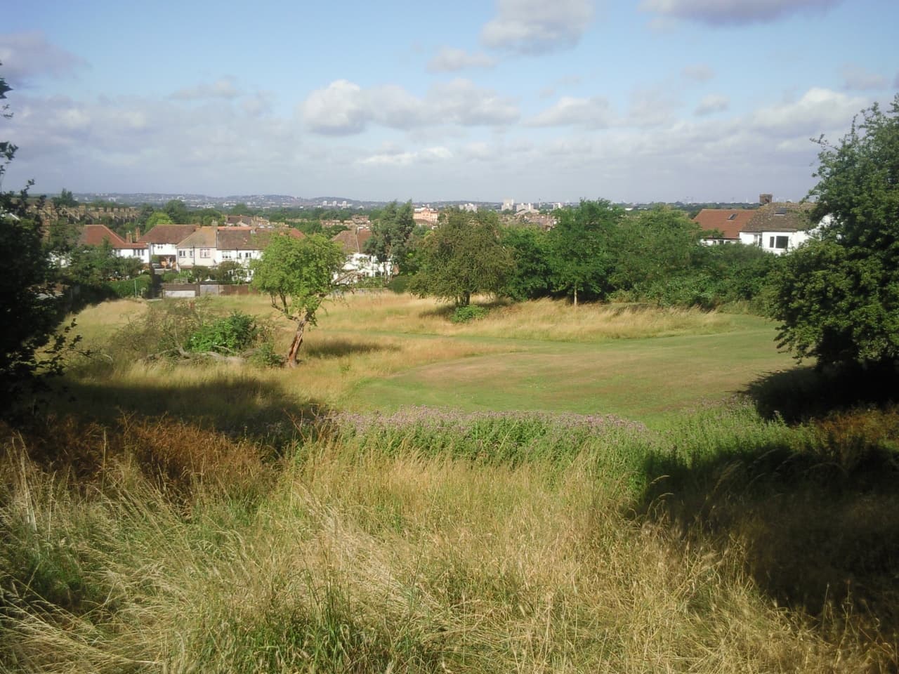 Eltham Park North - Main view