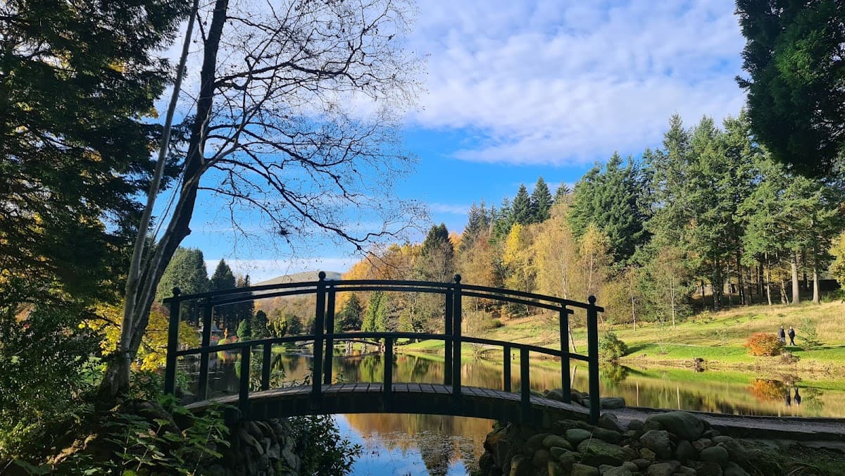 The Japanese Garden at Cowden - Image 3