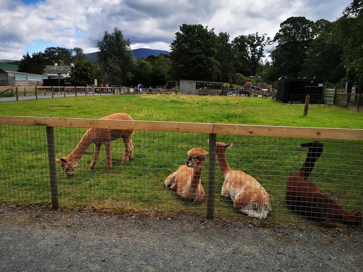 Lake District Wildlife Park - Main view