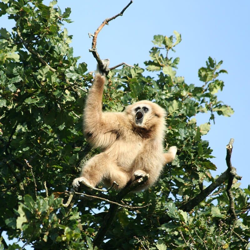 Lake District Wildlife Park - Image 2