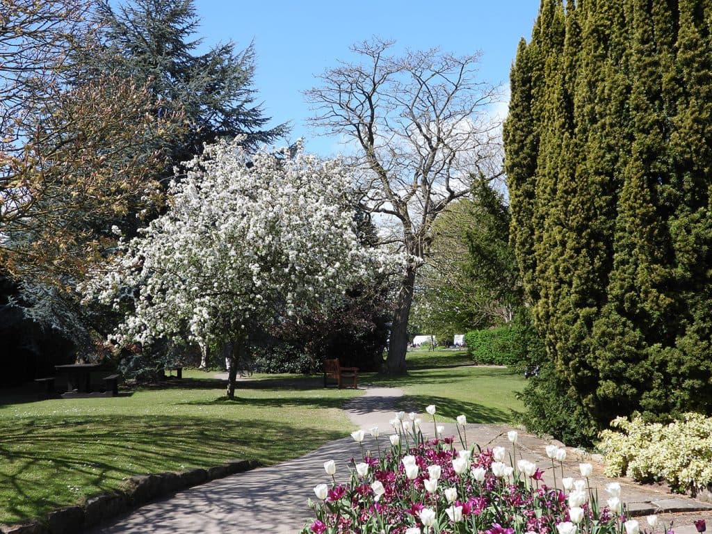 Burnby Hall Gardens - Image 3