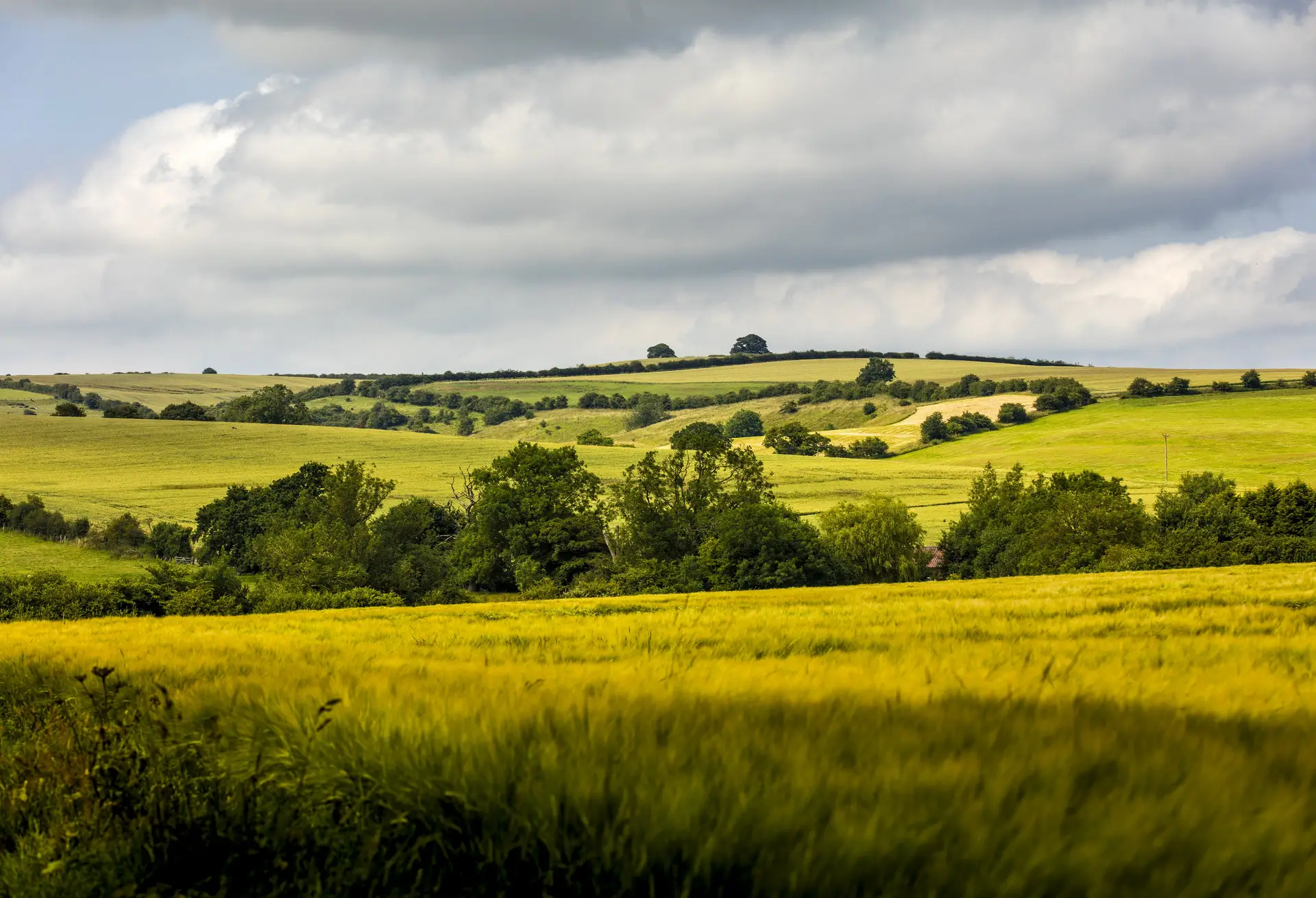 Lincolnshire Wolds Railway (Ludborough) - Image 4