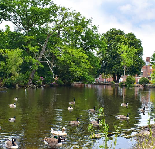 Elmore Park - Main view