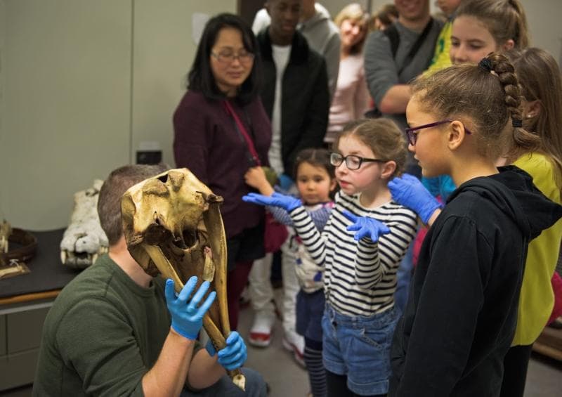 University Museum Of Zoology - Image 3