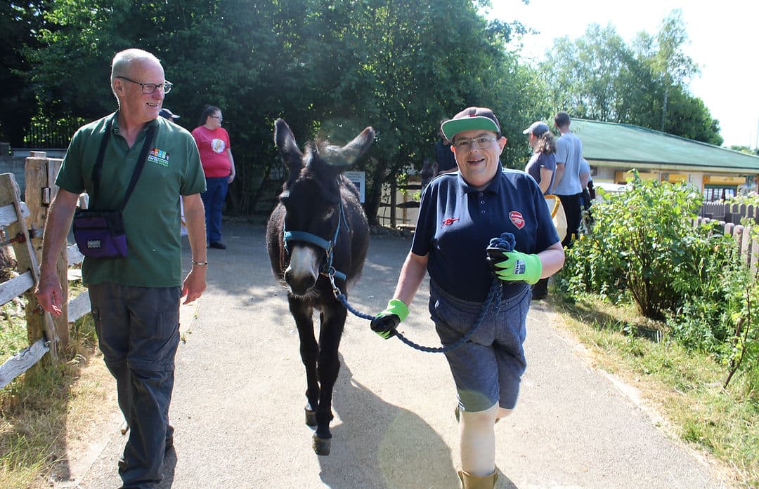 Swansea Community Farm - Image 1