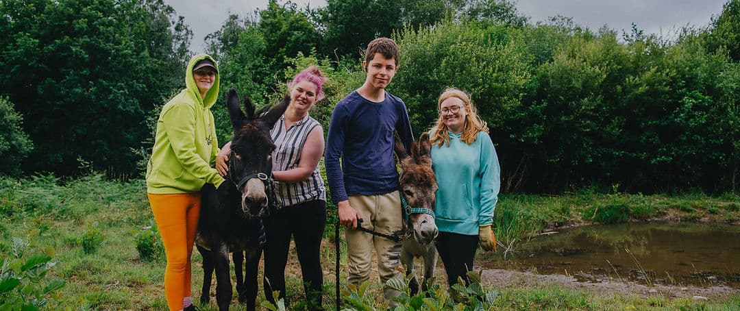 Swansea Community Farm - Image 2