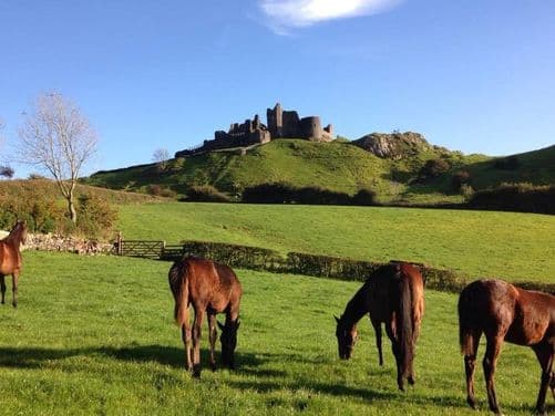 Carreg Cennen Castle - Image 4