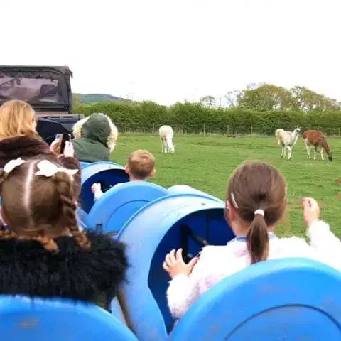 Monk Park Farm Visitor Attraction - Image 3
