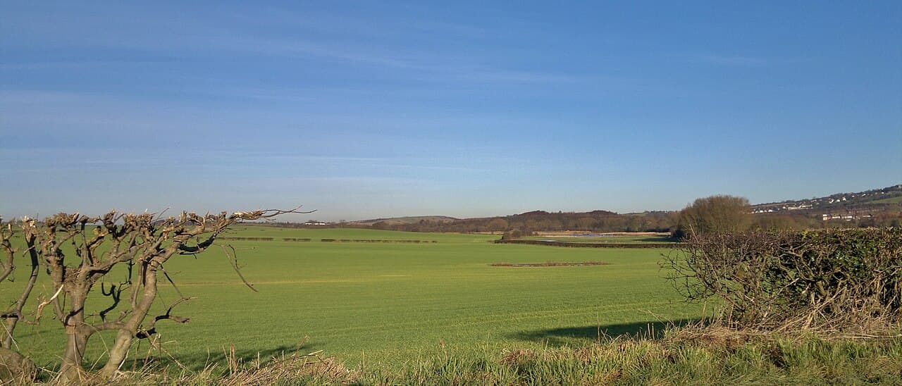 Carr Vale Nature Reserve - Image 3