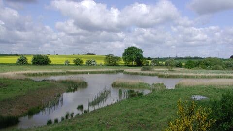 Carr Vale Nature Reserve - Image 4
