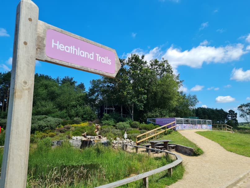 Avon Heath Country Park - Image 2