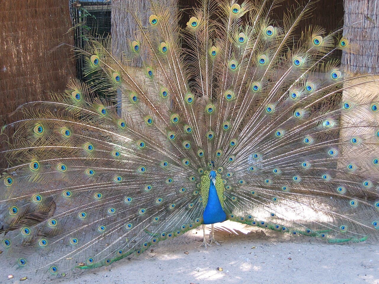 Alameda Wildlife Park - Main view