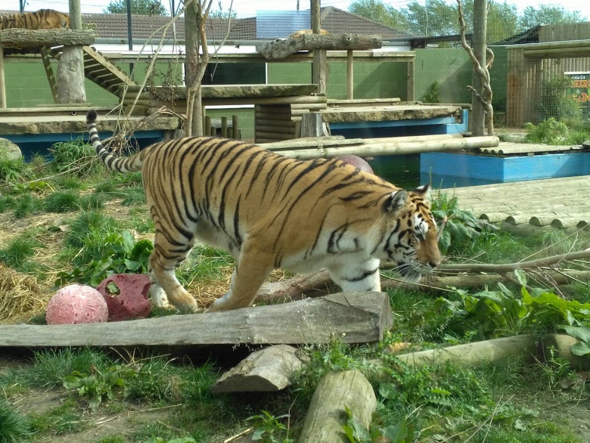 Lincolnshire Wildlife Park - Main view