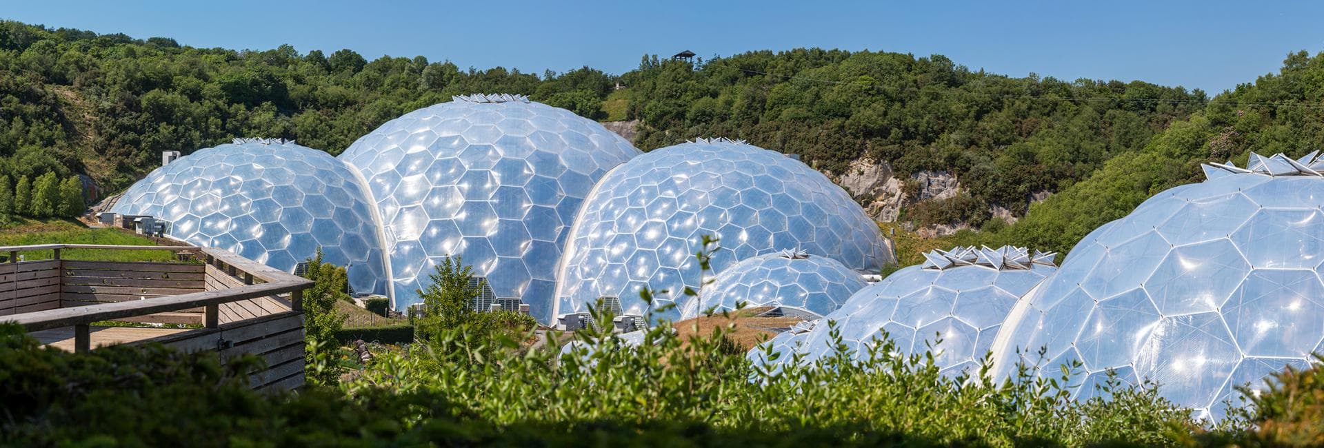 Eden Project - Image 2