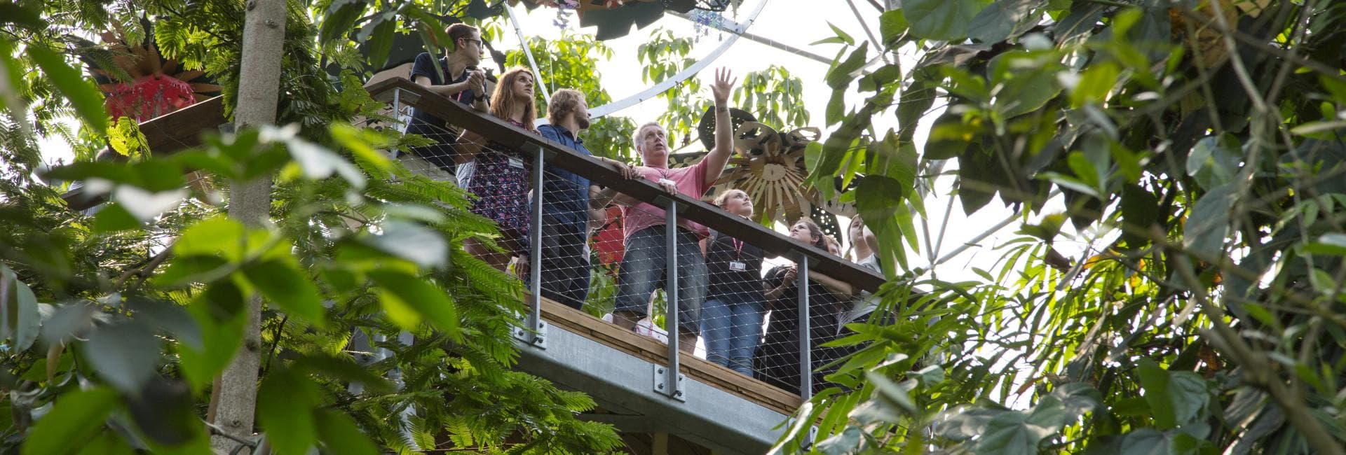 Eden Project - Image 3
