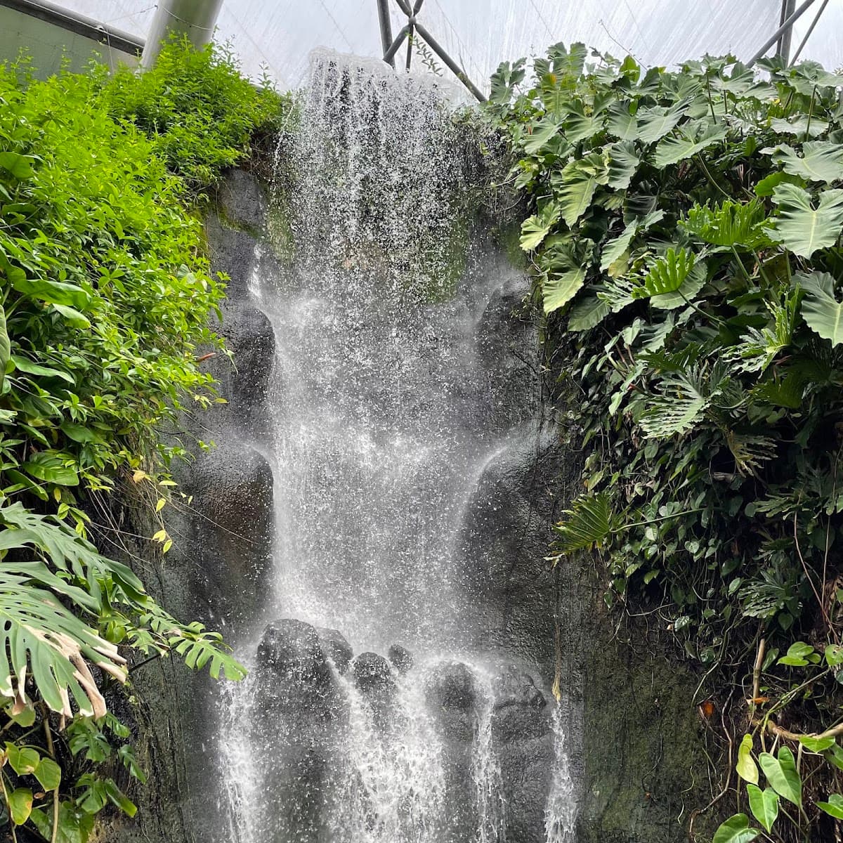 Eden Project - Image 4