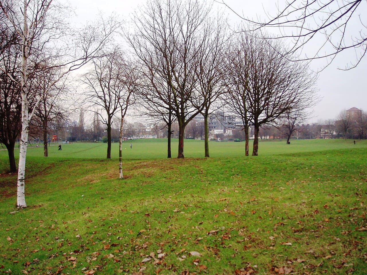 Larkhall Park - Image 2