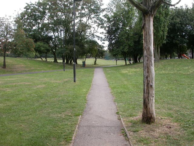 Larkhall Park - Image 3