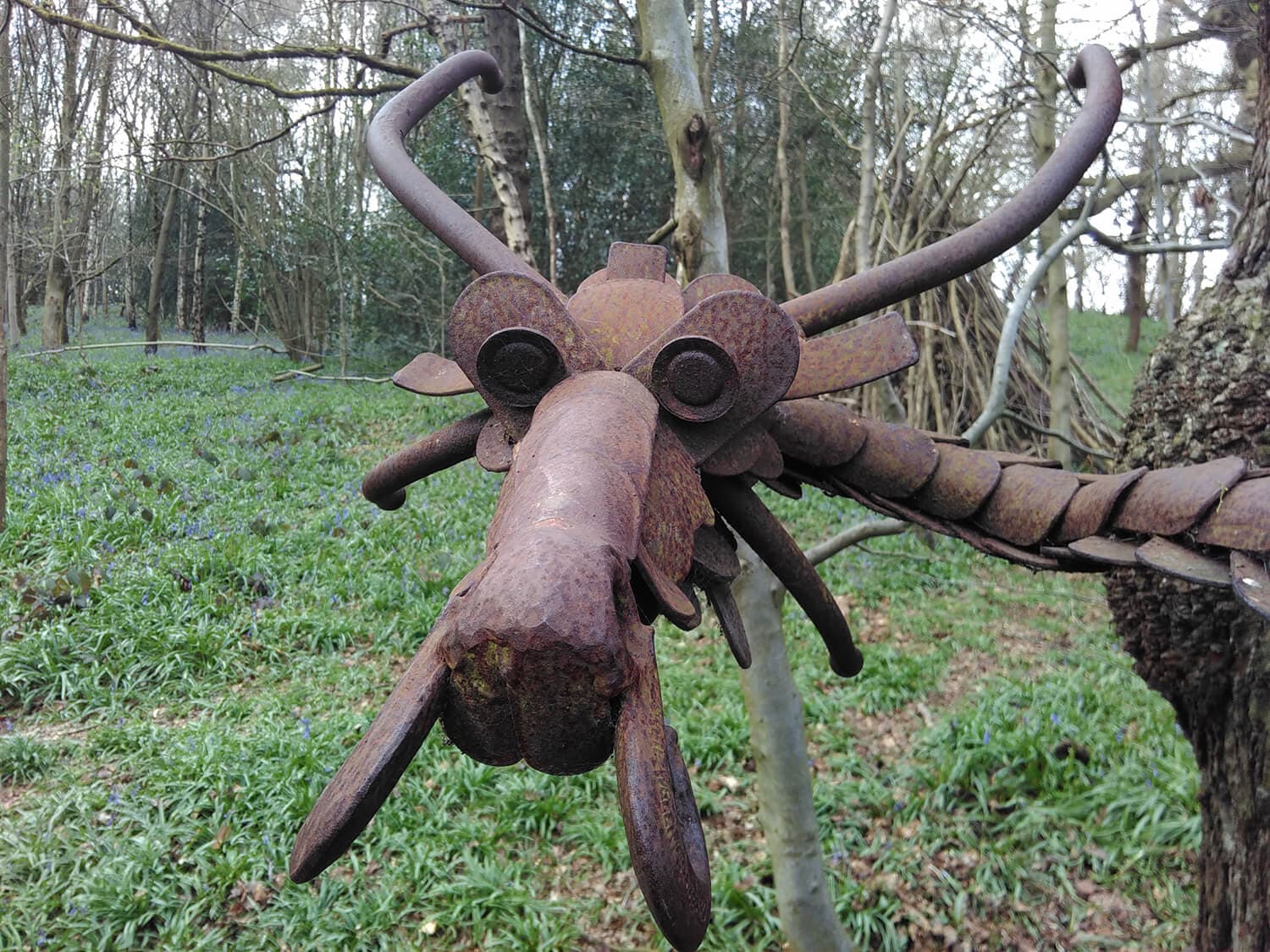 Saltwells Local Nature Reserve - Image 2