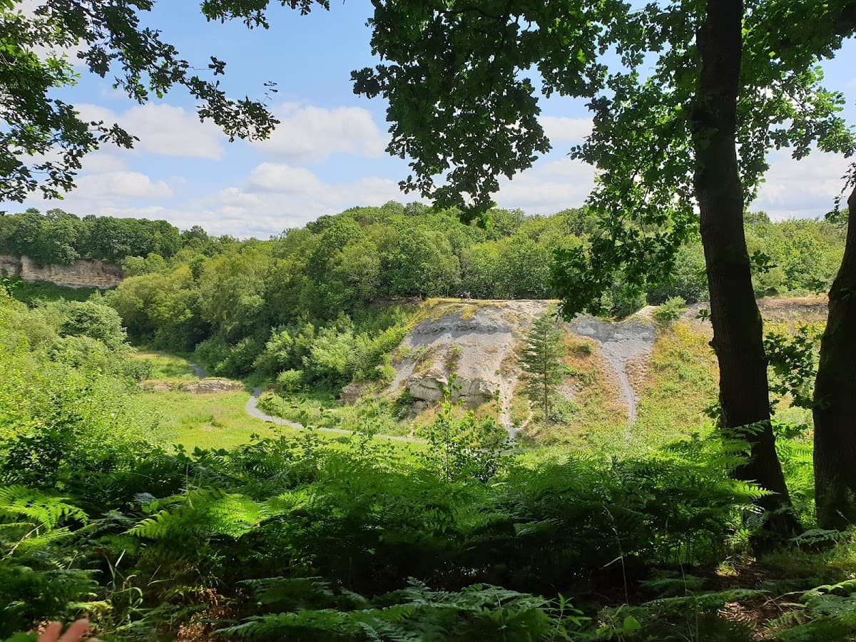 Saltwells Local Nature Reserve - Image 4