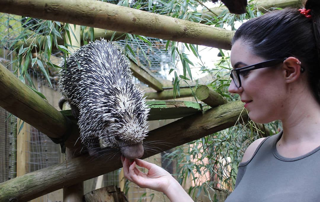 Hemsley Conservation Centre - Image 4