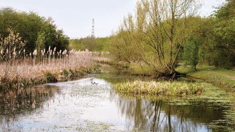 Dearne Valley Country Park - Main view