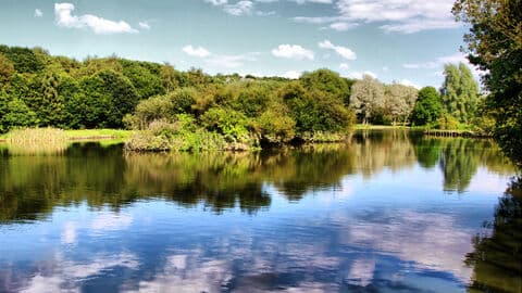 Dearne Valley Country Park - Image 4