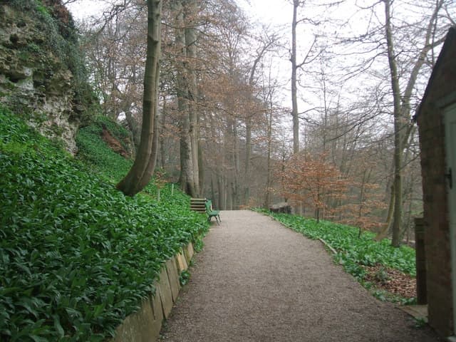 Mother Shipton's Cave - Image 4