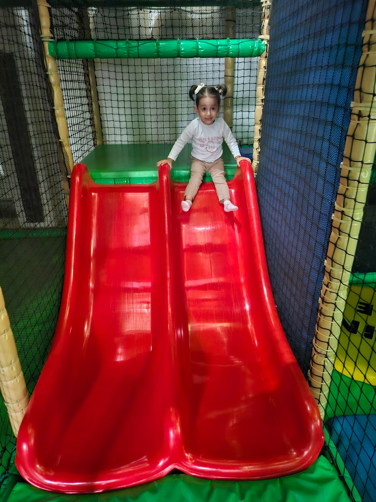 Twiggy's Play - Image 1